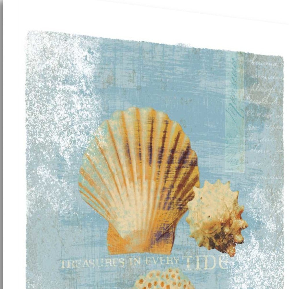 HomeRoots 19" Blue Seashell Treasures Giclee Wrap Canvas Wall Art