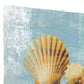 HomeRoots 19" Blue Seashell Treasures Giclee Wrap Canvas Wall Art