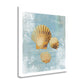 HomeRoots 19" Blue Seashell Treasures Giclee Wrap Canvas Wall Art