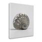 HomeRoots 19" Contemporary Metallic Silver Shell Print on Gallery Wrap Canvas Wall Art