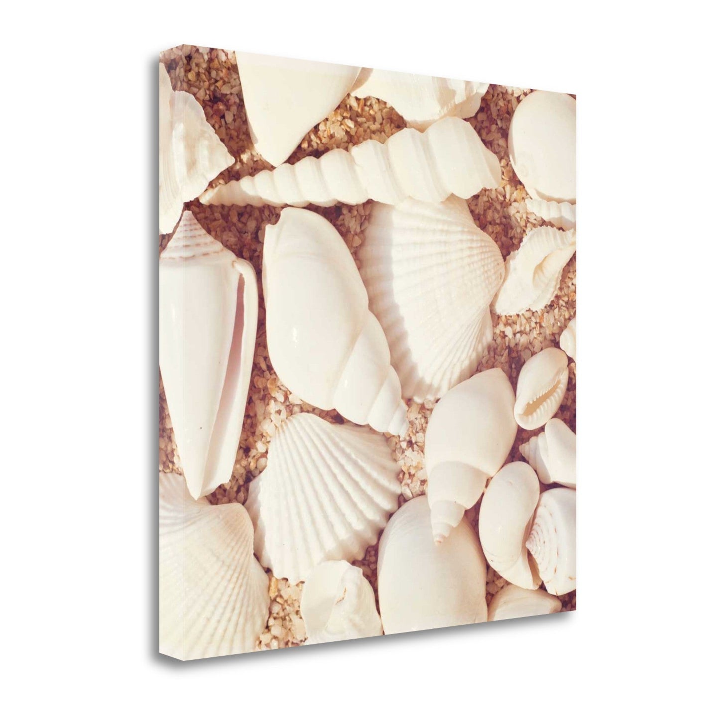 HomeRoots 19" Contemporary and Colorful Coastal Print on Gallery Wrap Canvas Wall Art