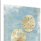 HomeRoots 19" Nautical Motif with Wordings Giclee Wrap Canvas Wall Art