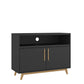 HomeRoots 2 Door Console Table With Modern Black and Natural Finish