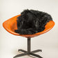 HomeRoots 2' x 3' Black New Zealand Natural Sheepskin Rug