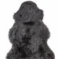 HomeRoots 2' x 3' Black New Zealand Natural Sheepskin Rug