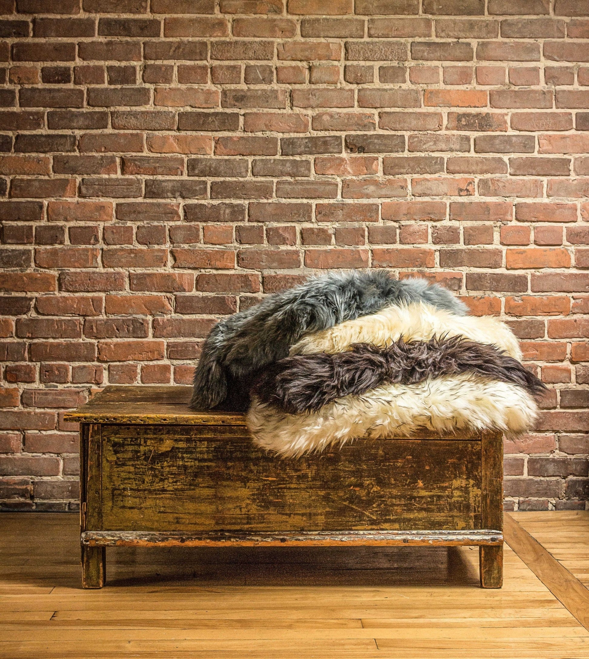 HomeRoots 2' x 3' Dark Cream New Zealand Natural Sheepskin Rug