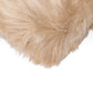 HomeRoots 2' x 3' Faux Fur Rectangular Area Rug in Tan Finish
