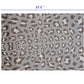 HomeRoots 2' x 3' Gray and Brown Cheetah Washable Floor Mat