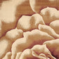 HomeRoots 2' x 3' Ivory Machine Woven Hand Carved Oversized Floral Indoor Accent Rug