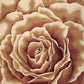 HomeRoots 2' x 3' Ivory Machine Woven Hand Carved Oversized Floral Indoor Accent Rug