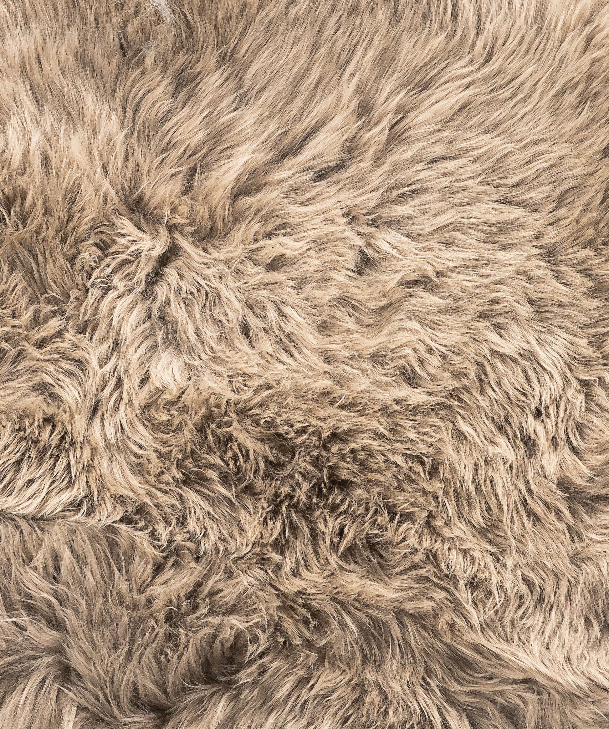 HomeRoots 2' x 3' Latte New Zealand Natural Sheepskin Rug