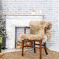 HomeRoots 2' x 3' Latte New Zealand Natural Sheepskin Rug