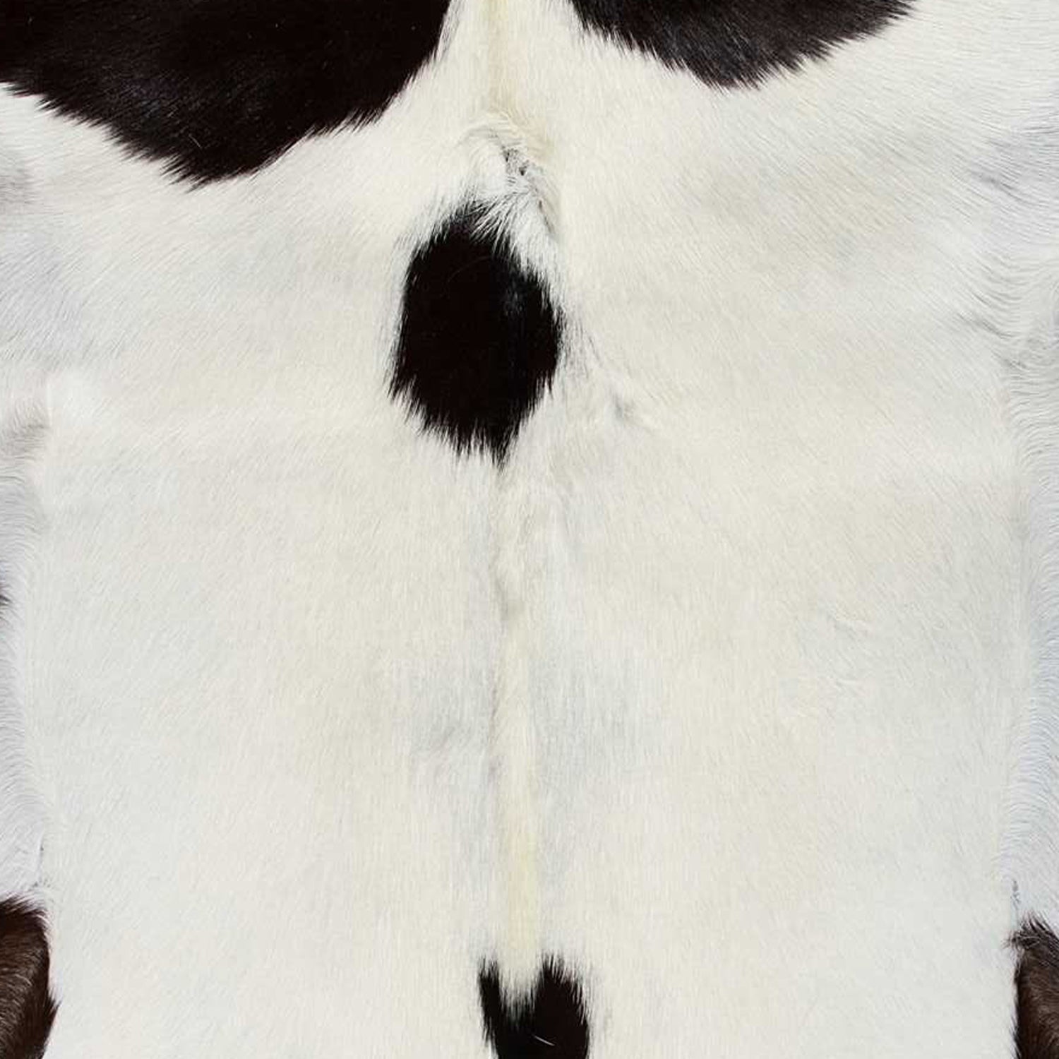 HomeRoots 2' x 3' Natural Black and White Calfskin Area Rug