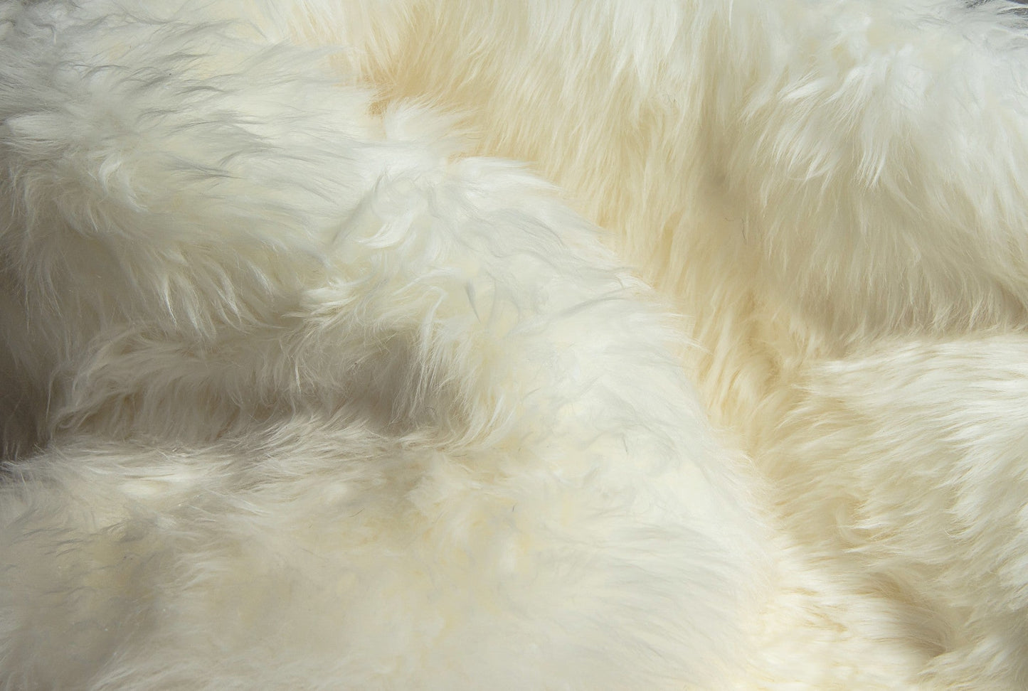 HomeRoots 2" x 3" Natural New Zealand Sheepskin Wool Area Rug in White Finish
