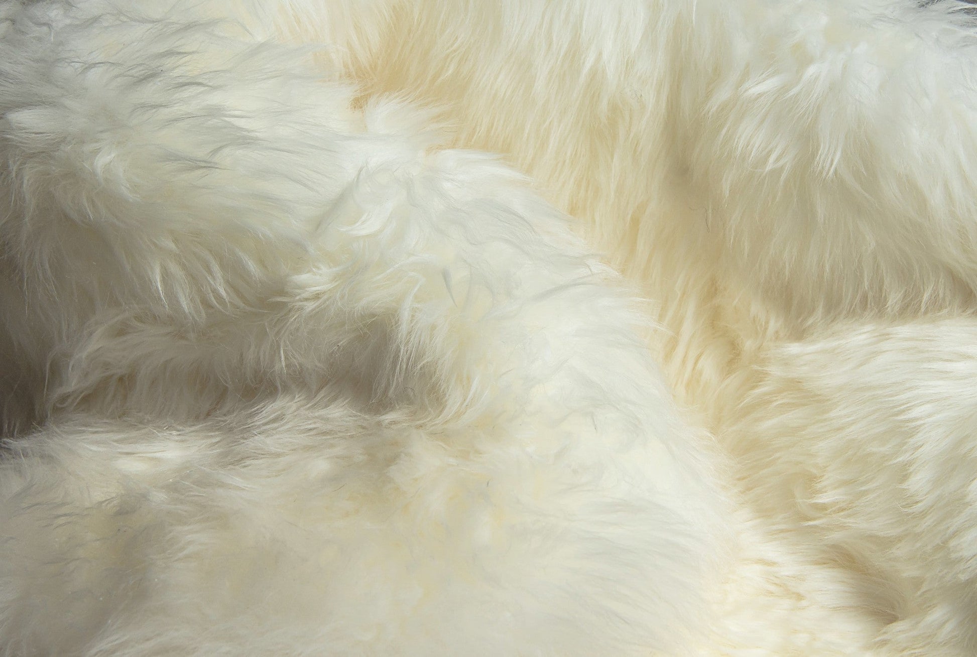 HomeRoots 2" x 3" Natural New Zealand Sheepskin Wool Area Rug in White Finish