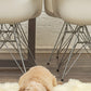 HomeRoots 2" x 3" Natural New Zealand Sheepskin Wool Area Rug in White Finish