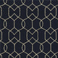 HomeRoots 2' x 3' UV treated Polypropylene Navy Accent Rug