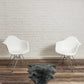 HomeRoots 2' x 3' Warm Gray New Zealand Natural Sheepskin Rug