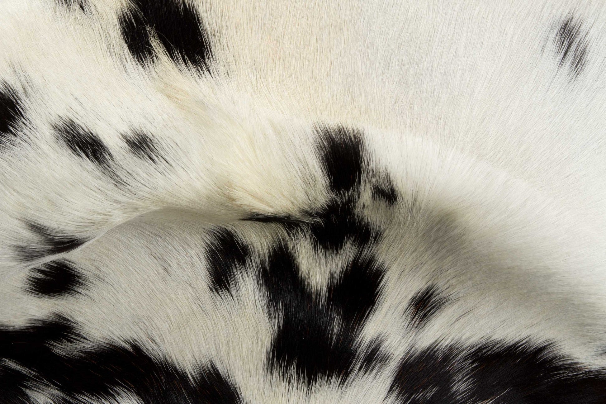 HomeRoots 2" x 3" White And Black Calfskin - Area Rug