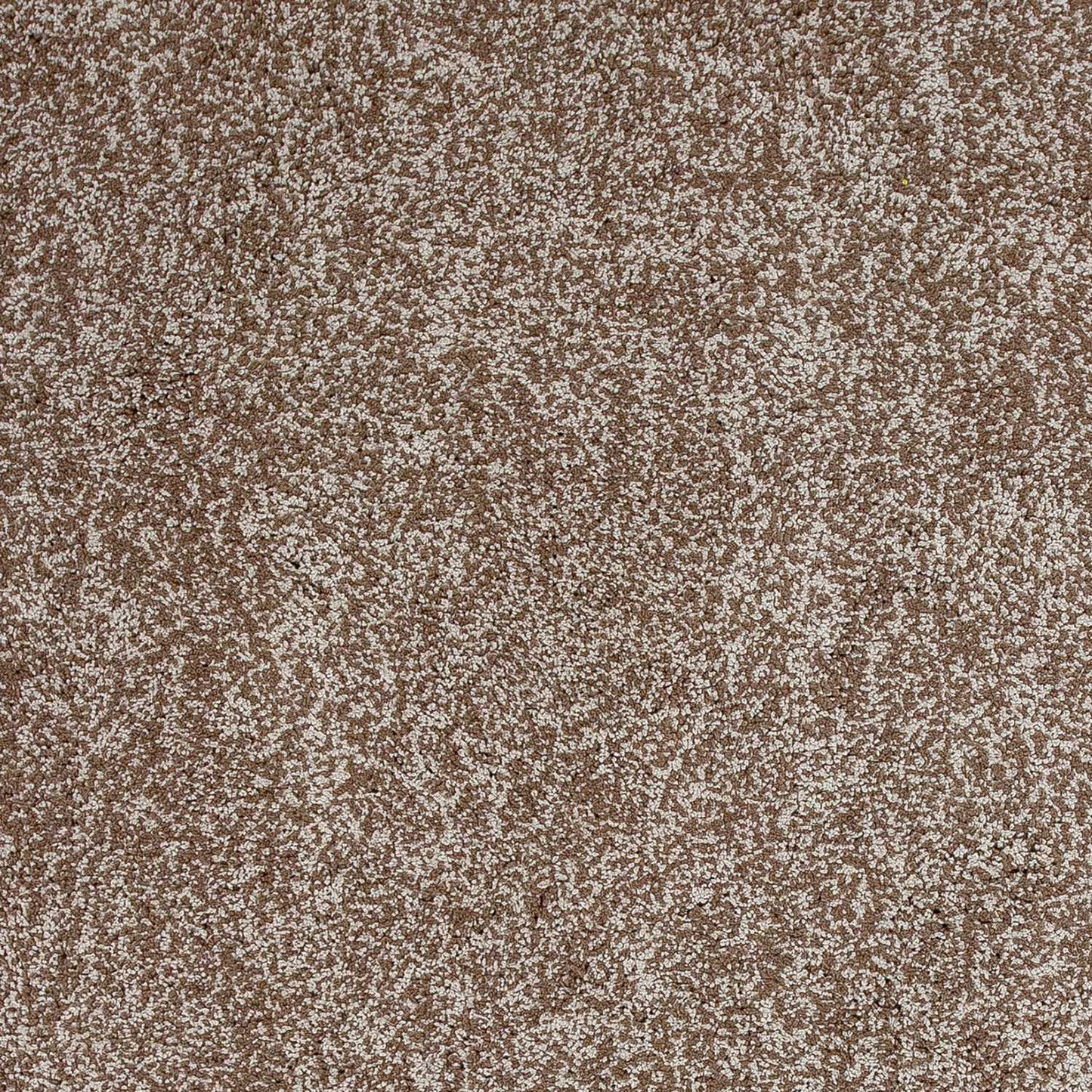 HomeRoots 2' x 4' Beige Heather Indoor Shag Rug