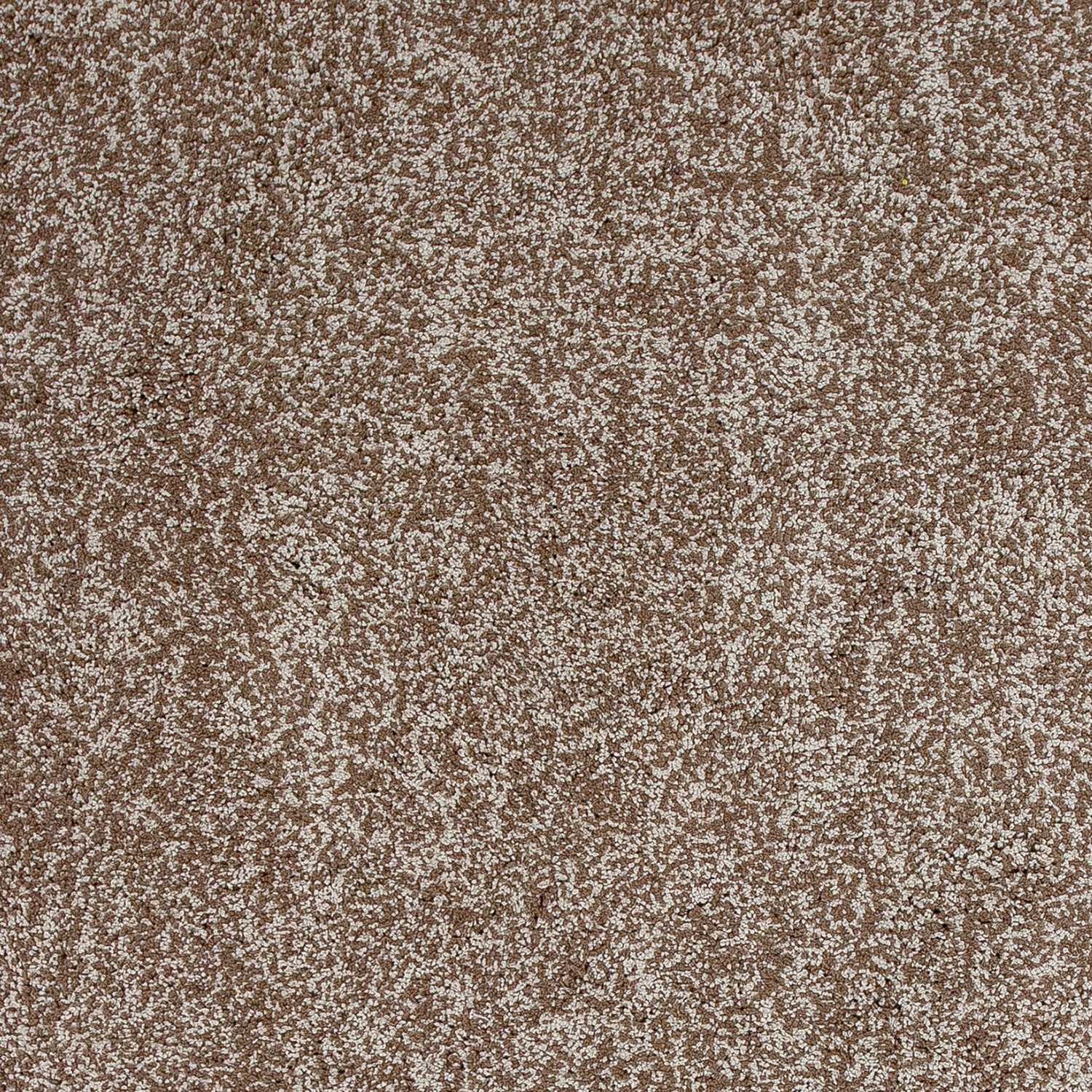 HomeRoots 2' x 4' Beige Heather Indoor Shag Rug