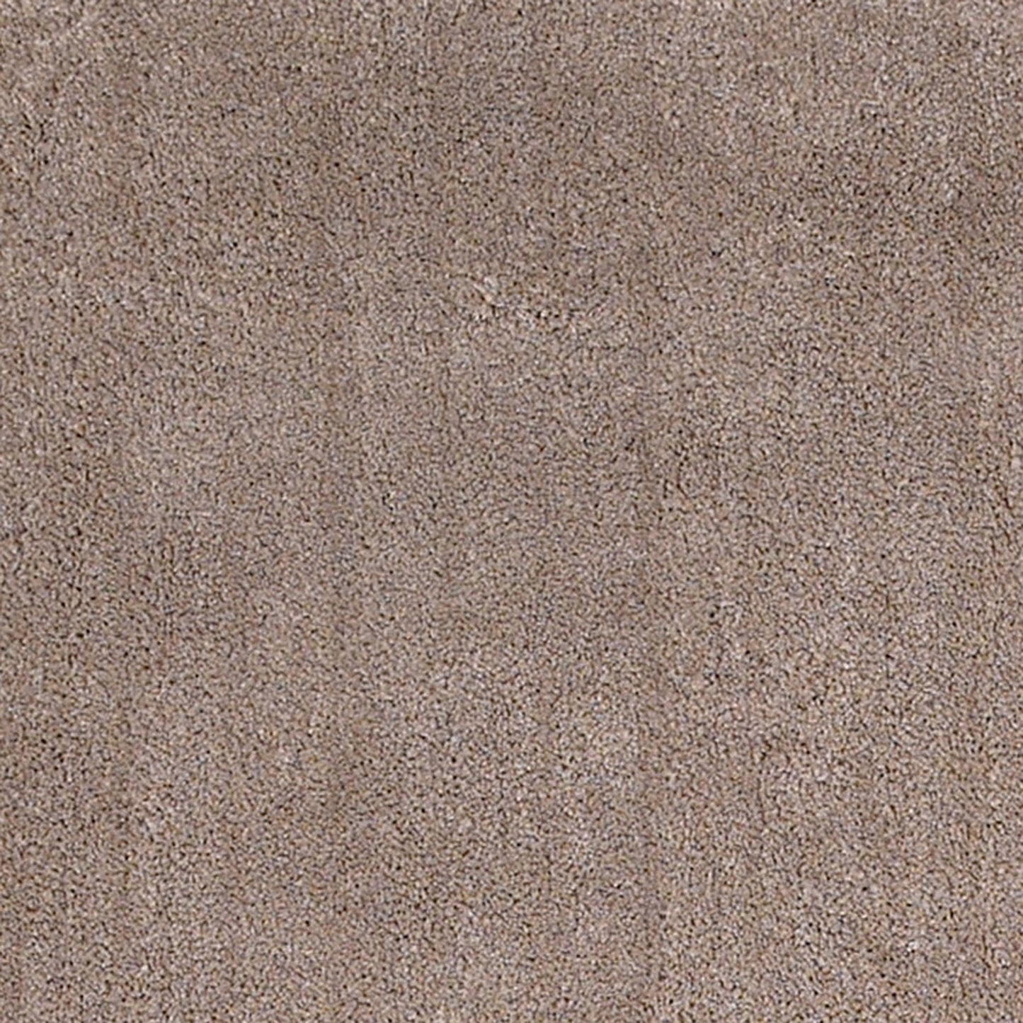 HomeRoots 2' x 4' Beige Indoor Shag Rug