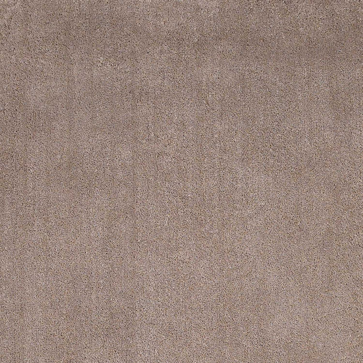 HomeRoots 2' x 4' Beige Indoor Shag Rug
