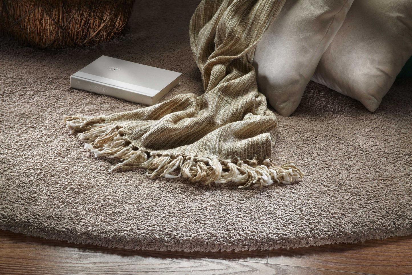 HomeRoots 2' x 4' Beige Indoor Shag Rug