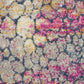 HomeRoots 2' x 8' Yellow and Pink Coral Reef Runner Rug