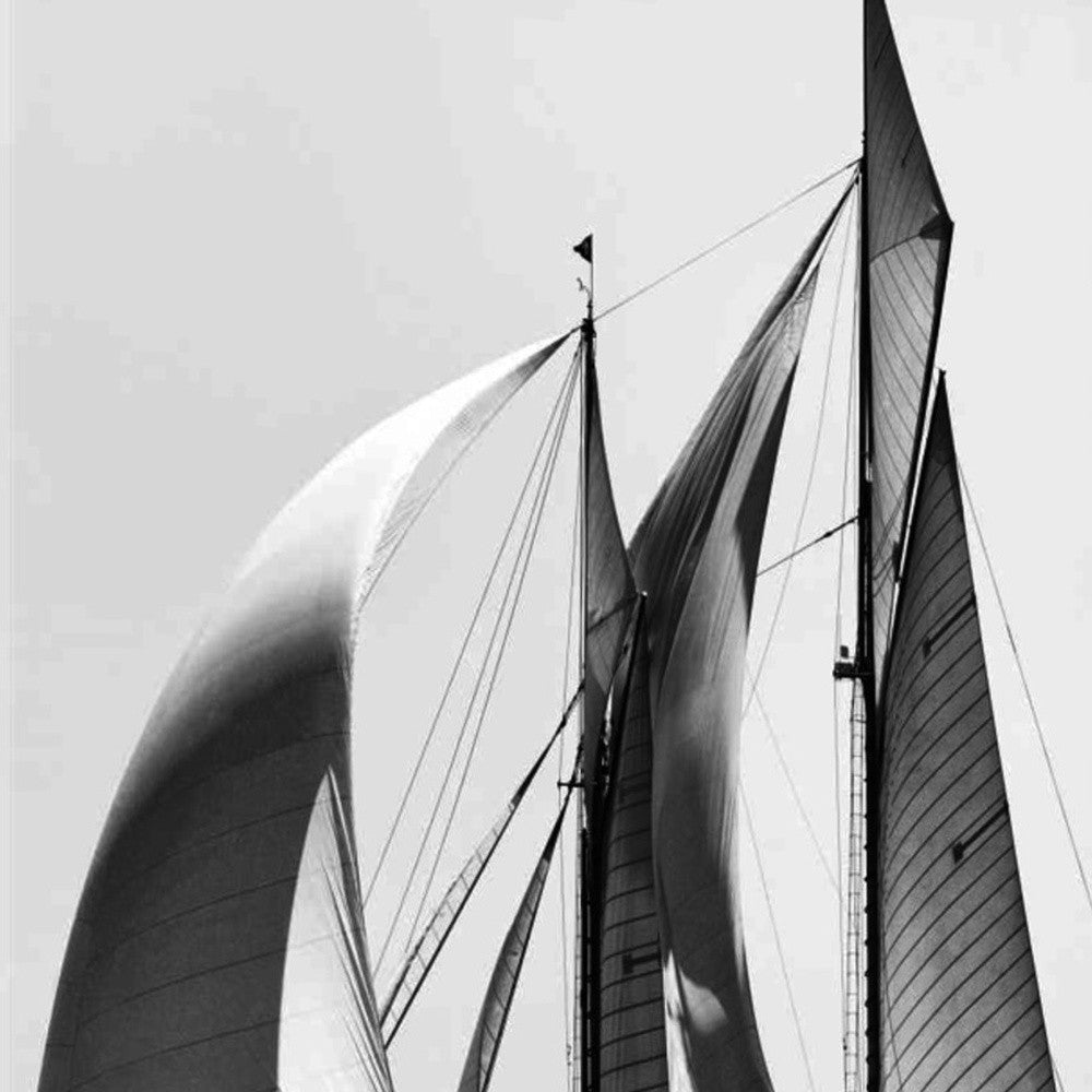 HomeRoots 20" Black and White Sailboat Giclee Wrap Canvas Wall Art