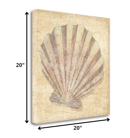 HomeRoots 20" Bohemian Pastel Seashell Giclee Wrap Canvas Wall Art