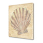 HomeRoots 20" Bohemian Pastel Seashell Giclee Wrap Canvas Wall Art