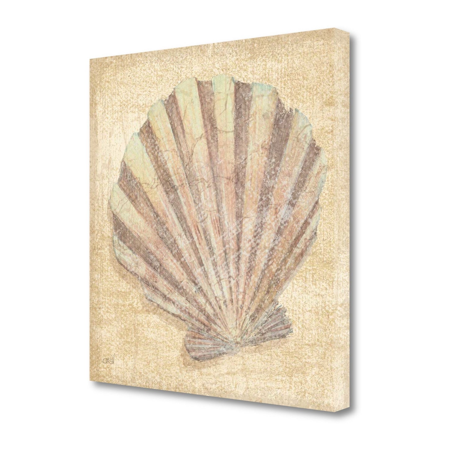 HomeRoots 20" Bohemian Pastel Seashell Giclee Wrap Canvas Wall Art