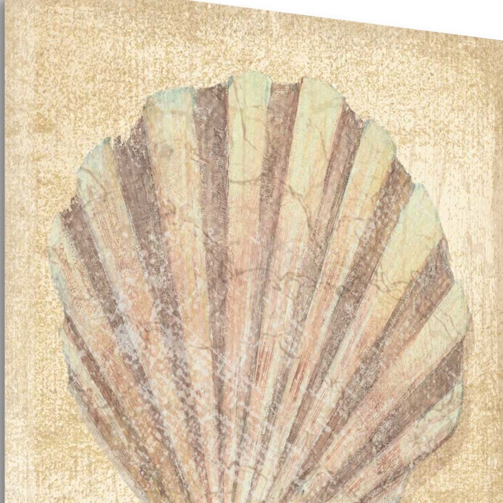 HomeRoots 20" Bohemian Pastel Seashell Giclee Wrap Canvas Wall Art