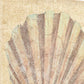 HomeRoots 20" Bohemian Pastel Seashell Giclee Wrap Canvas Wall Art