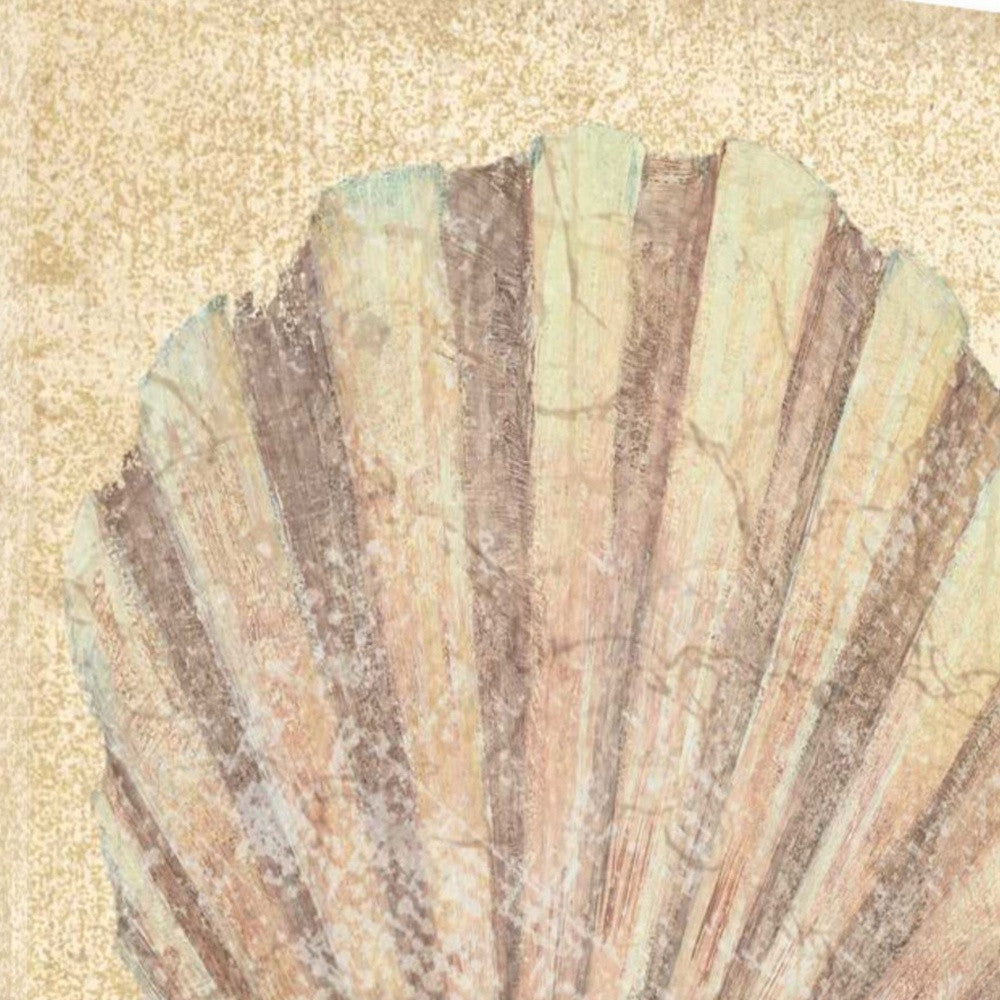 HomeRoots 20" Bohemian Pastel Seashell Giclee Wrap Canvas Wall Art