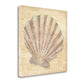 HomeRoots 20" Bohemian Pastel Seashell Giclee Wrap Canvas Wall Art