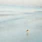HomeRoots 20" Coastal Two Seagulls on the Beach Giclee Wrap Canvas Wall Art