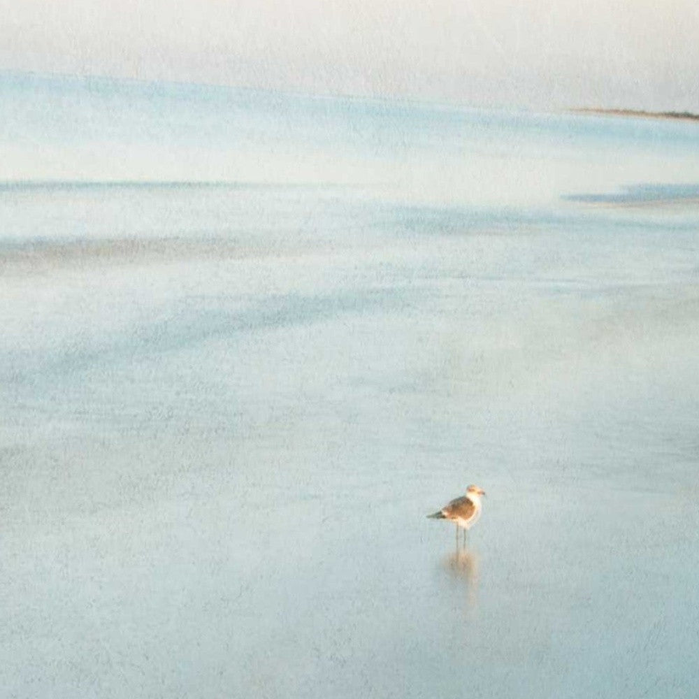 HomeRoots 20" Coastal Two Seagulls on the Beach Giclee Wrap Canvas Wall Art