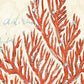 HomeRoots 20" Fancy Orange Underwater Coral 1 Giclee Wrap Canvas Wall Art