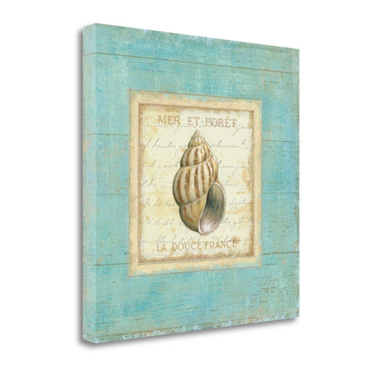 HomeRoots 20" French Inspired Seashell Print on Gallery Wrap Canvas Wall Art