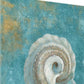 HomeRoots 20" Majestic Seashell in the Deep Blue Sea Giclee Wrap Canvas Wall Art