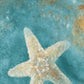 HomeRoots 20" Majestic Starfish in the Deep Blue Sea Giclee Wrap Canvas Wall Art