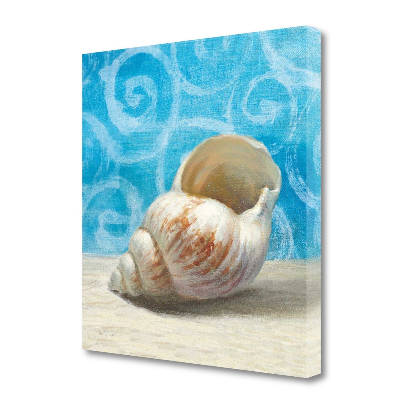 HomeRoots 20" Mod Blue Scroll Coastal Conch 1 Giclee Wrap Canvas Wall Art