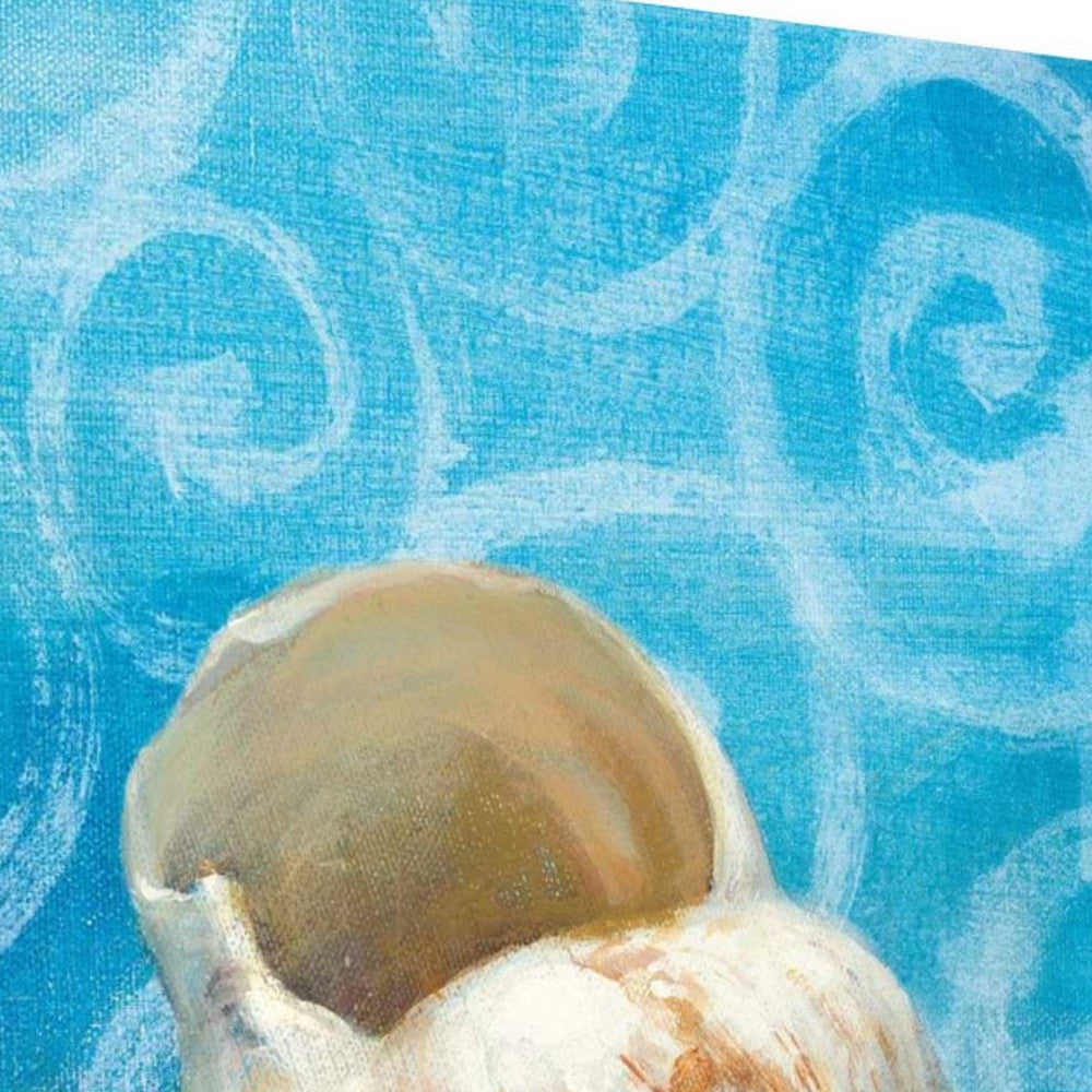 HomeRoots 20" Mod Blue Scroll Coastal Conch 1 Giclee Wrap Canvas Wall Art