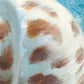 HomeRoots 20" Mod Blue Scroll Coastal Conch 2 Giclee Wrap Canvas Wall Art