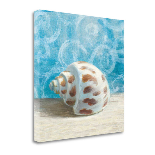 HomeRoots 20" Mod Blue Scroll Coastal Conch 2 Giclee Wrap Canvas Wall Art