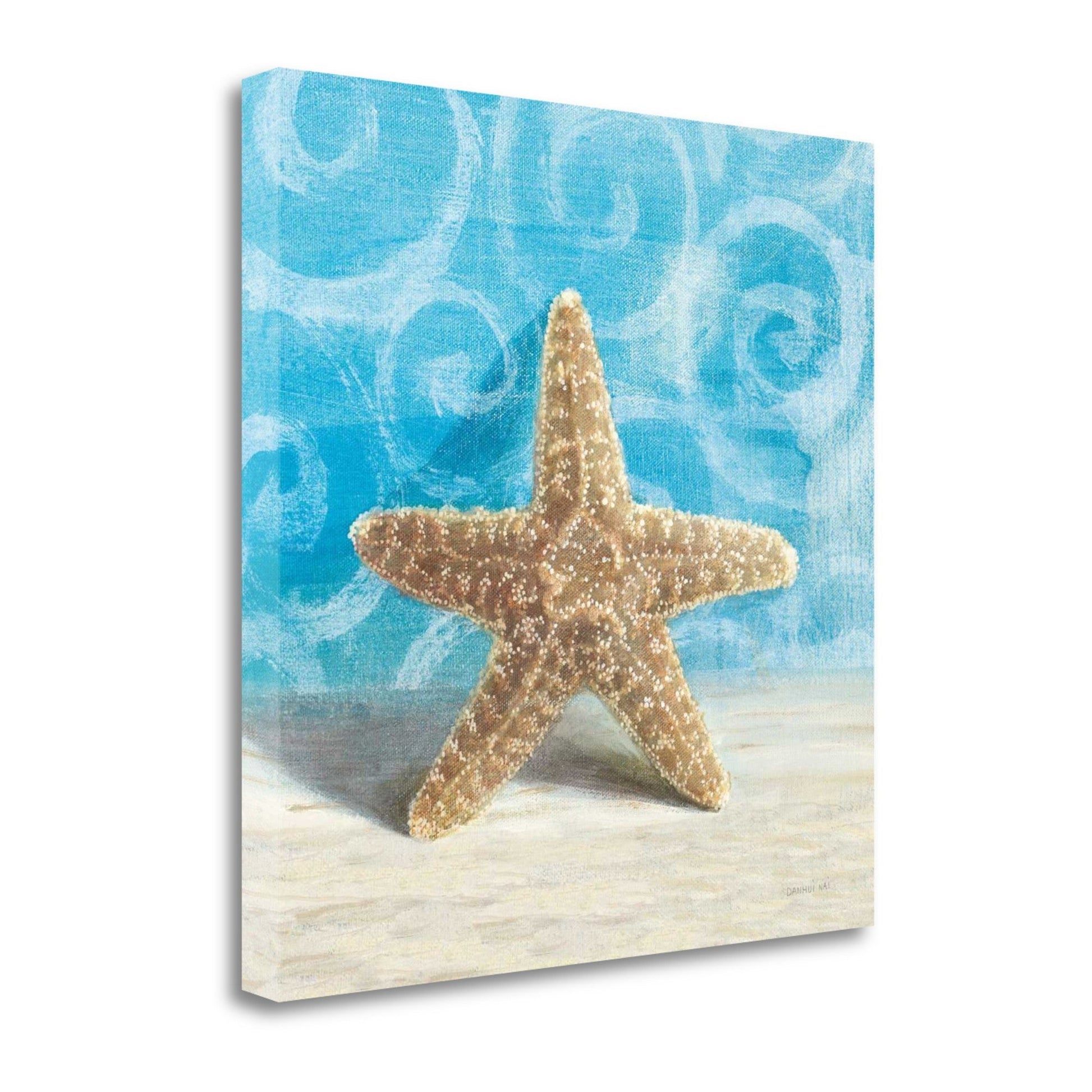 HomeRoots 20" Mod Blue Scroll Coastal Conch 3 Giclee Wrap Canvas Wall Art