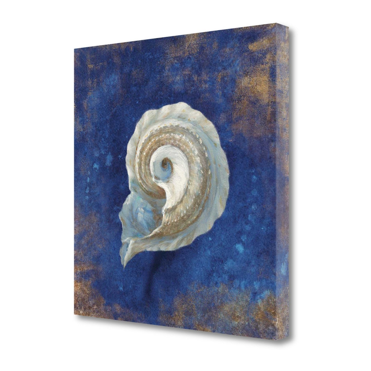 HomeRoots 20" Rustic Deep Blue and Gold Conch Giclee Wrap Canvas Wall Art