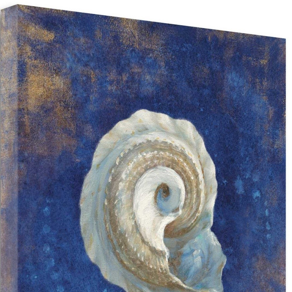 HomeRoots 20" Rustic Deep Blue and Gold Conch Giclee Wrap Canvas Wall Art